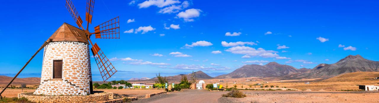 Teneriffa oder Fuerteventura