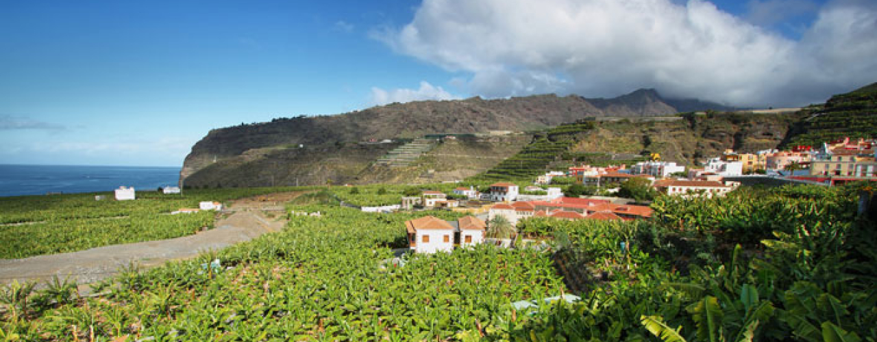 Urlaub Todoque La Palmas Westen mit alltours entdecken