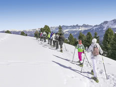 Active, Family & Wellness Hotel Shandranj Bild 05