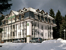 Hotel & Ferienanlage Tannenpark Bild 01