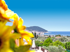 Skopelos Holidays Hotel & Spa Bild 05