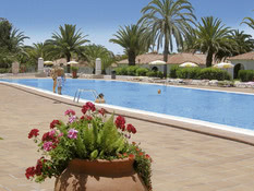 Sun Club Playa del Inglés Bild 07