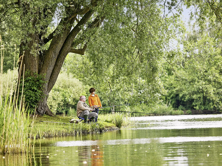 Hotel Center Parcs - De Huttenheugte in Dalen bei alltours buchen