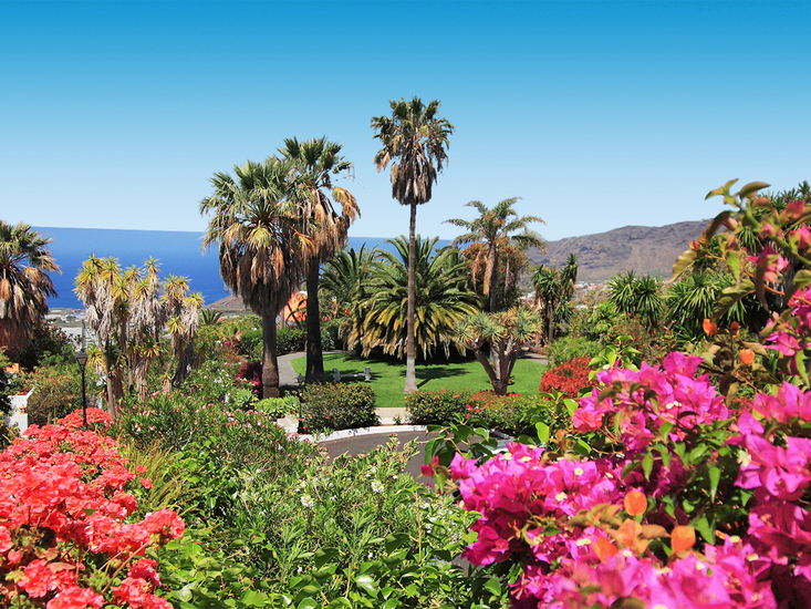 Hotel La Palma Jardin in El Paso bei alltours buchen